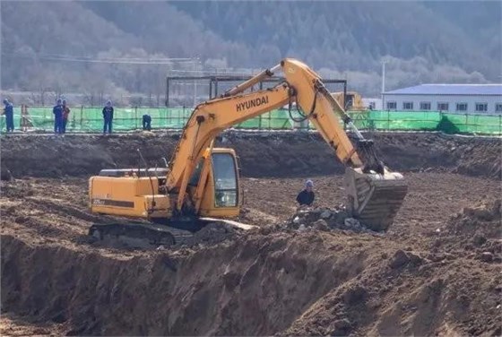 大力士 生物質燃燒器