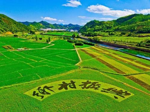 中國農(nóng)業(yè)廢棄物處理行業(yè)市場現(xiàn)狀與發(fā)展前景分析 資源化利用率持續(xù)提升（二）