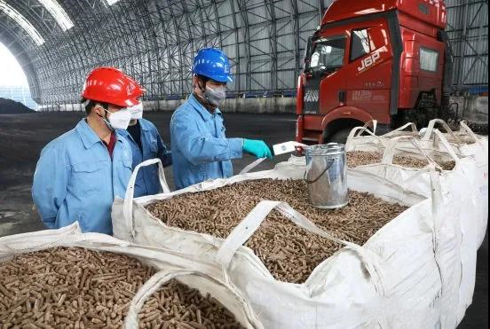 上海石化首嘗生物質燃料摻燒