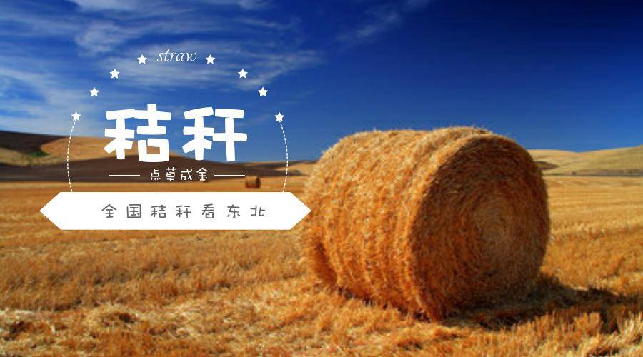 新聞聯(lián)播關注：東北秸稈該咋辦？（一）