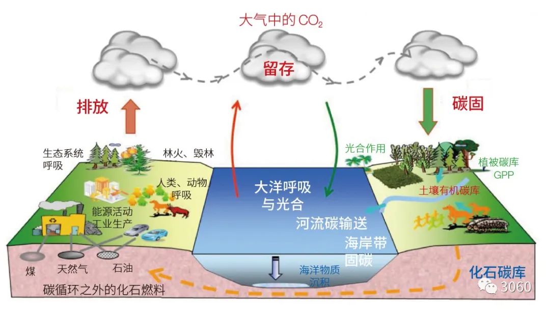 漲知識！什么是低碳、零碳、負碳技術（一）