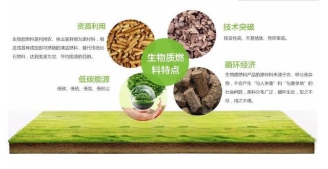 為何說“生物質(zhì)能”，是人類未來發(fā)展的重要能源？（一）