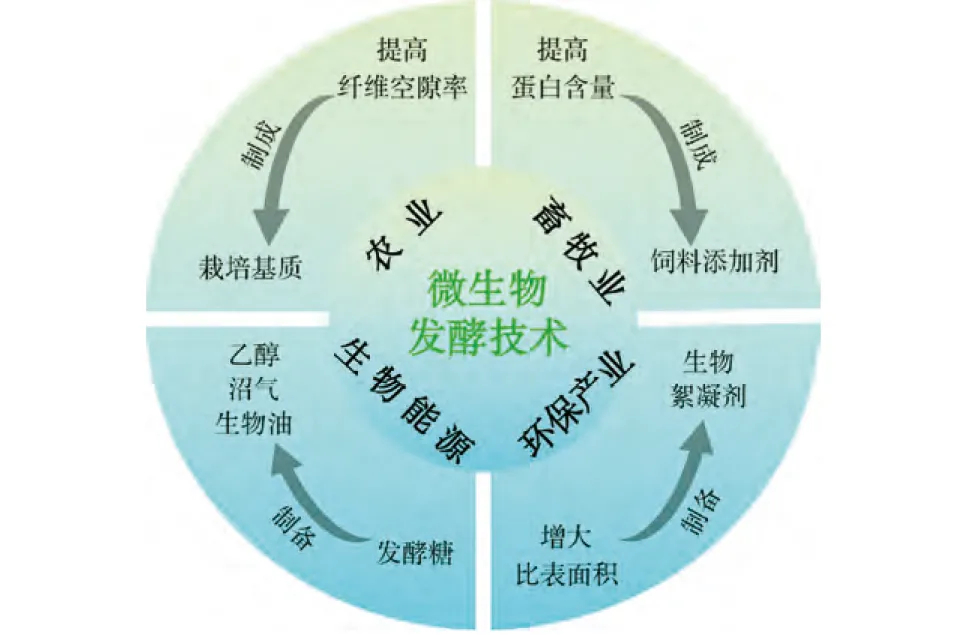 “雙碳”背景下中藥藥渣高值化利用技術與途徑1